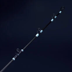 Canne De Pêche à La Traîne Légère GAME 500 180 10/14LBS Pêche En Mer -Daiwa Magasin canne de peche a la traine legere game 500 180 1014lbs peche en mer 9