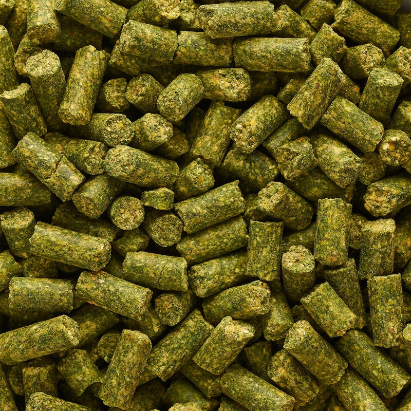 GOOSTER PELLET BABY CORN CHENEVIS EPICE 8MM 0,7KG POUR PECHER LA CARPE AU COUP 4 GOOSTER PELLET BABY CORN CHENEVIS EPICE 8MM 0,7KG POUR PECHER LA CARPE AU COUP â Image 2