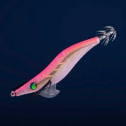 Turlutte Coulante Shallow EBIKA 3.0/120 Rose Fluo Pêche Des Seiches/calamars -Daiwa Magasin turlutte coulante shallow ebika 30120 rose fluo peche des seichescalamars 1